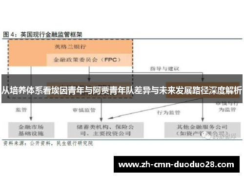 从培养体系看埃因青年与阿贾青年队差异与未来发展路径深度解析 从培养体系看埃因青年与阿贾青年队差异与未来发展路径深度解析