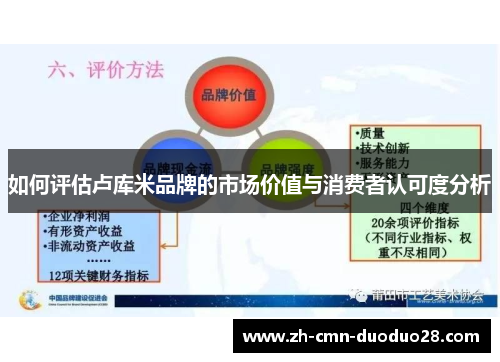 如何评估卢库米品牌的市场价值与消费者认可度分析