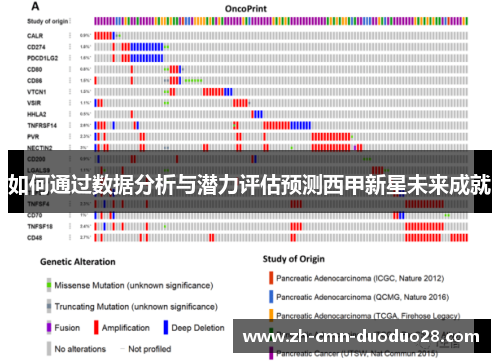 如何通过数据分析与潜力评估预测西甲新星未来成就