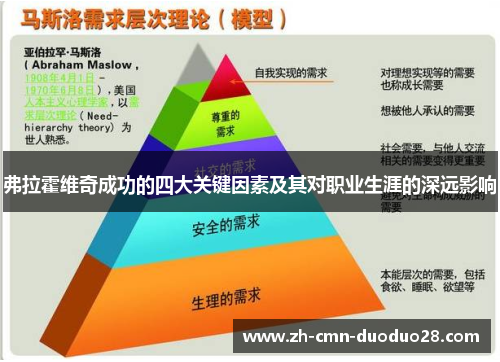 弗拉霍维奇成功的四大关键因素及其对职业生涯的深远影响 弗拉霍维奇成功的四大关键因素及其对职业生涯的深远影响