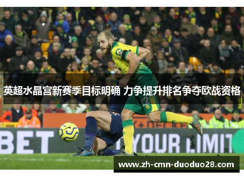 英超水晶宫新赛季目标明确 力争提升排名争夺欧战资格