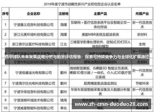 西甲球队未来发展战略分析与前景评估报告:探索可持续竞争力与全球化扩展路径 西甲球队未来发展战略分析与前景评估报告:探索可持续竞争力与全球化扩展路径